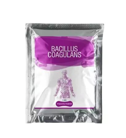 Bacillus Coagulans